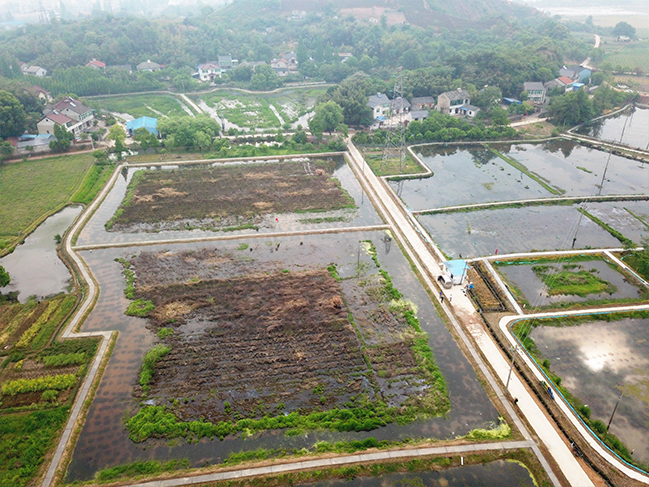  小龙虾养殖基地